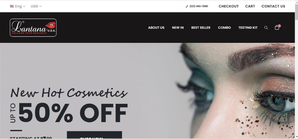 India Websoft Website Portfolio