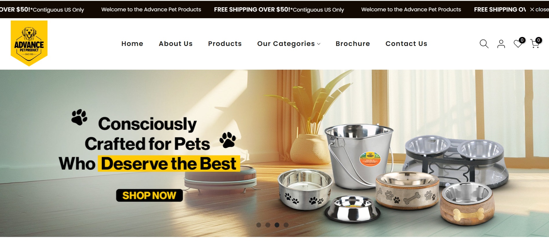 International Project Portfolio