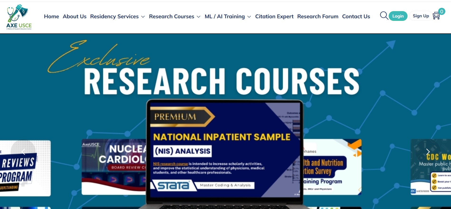 International Project Portfolio