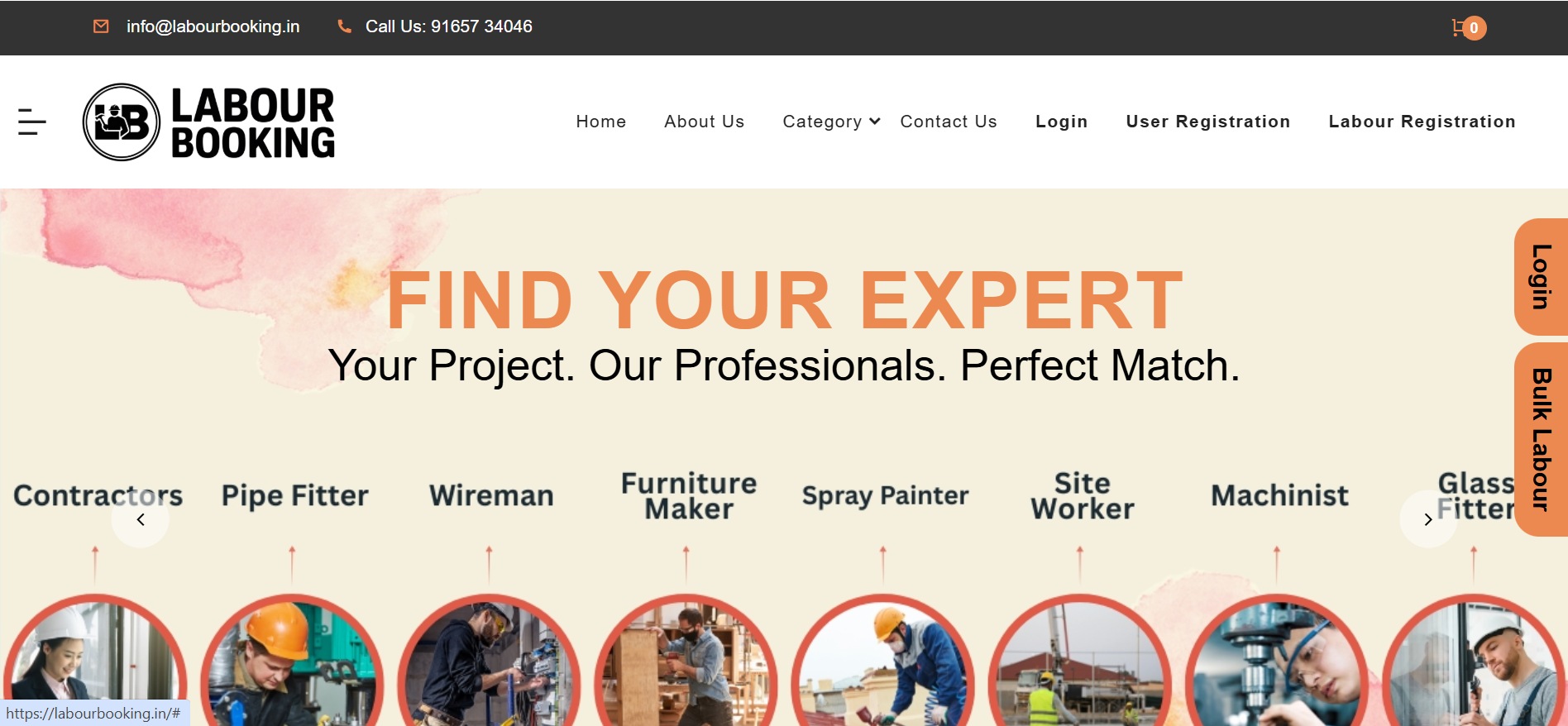 Domestic Project Portfolio