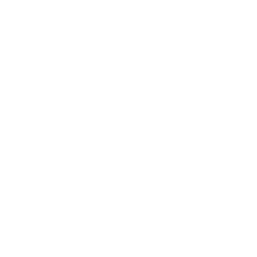 Life at India Websoft