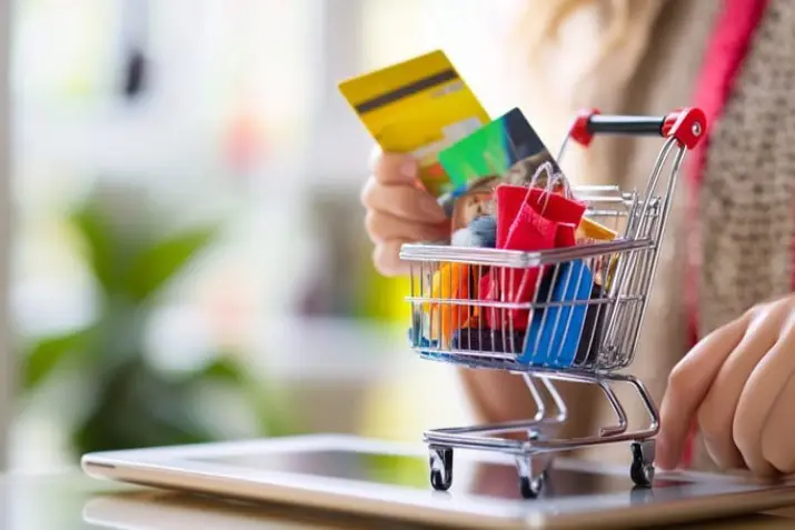 India Websoft Shopping Cart & Checkout Solutions for Netherlands