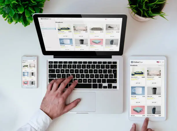 Professional E-commerce Development