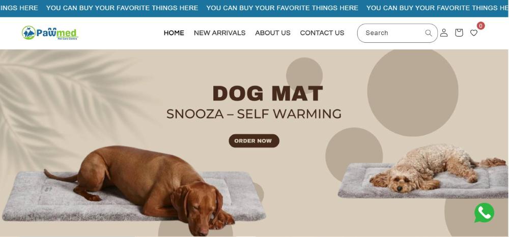 India Websoft Website Portfolio