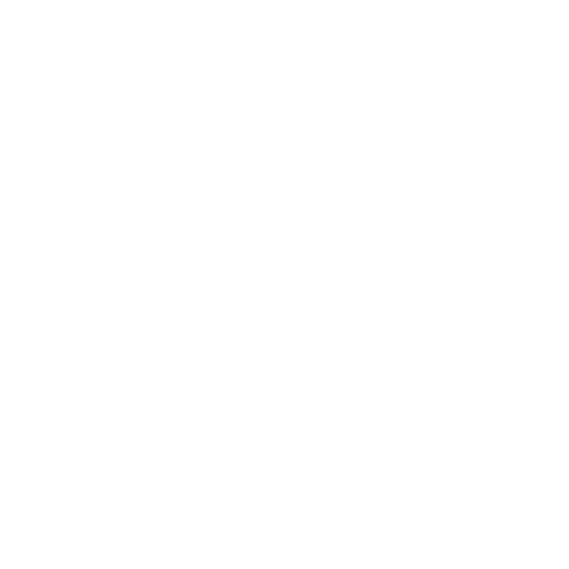 Life at India Websoft