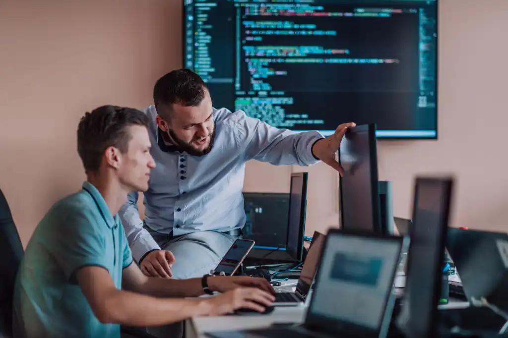 Software Development