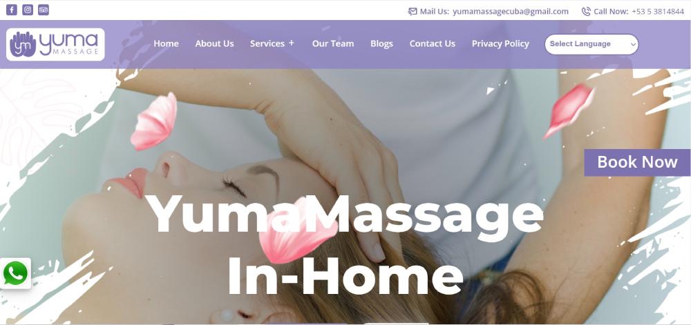 India Websoft Website Portfolio