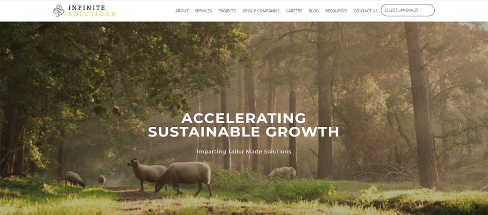 India Websoft Website Portfolio