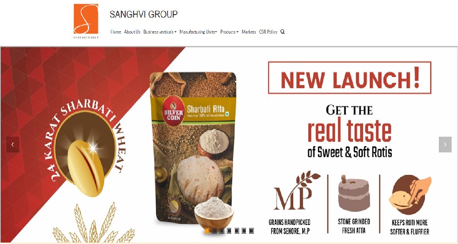 India Websoft Website Portfolio