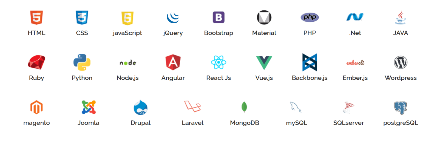 India Websoft Service Area